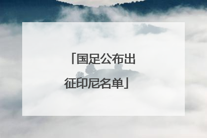 国足公布出征印尼名单
