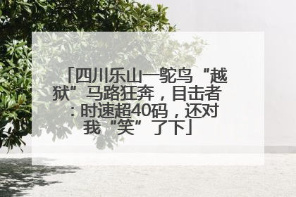 四川乐山一鸵鸟“越狱”马路狂奔，目击者：时速超40码，还对我“笑”了下