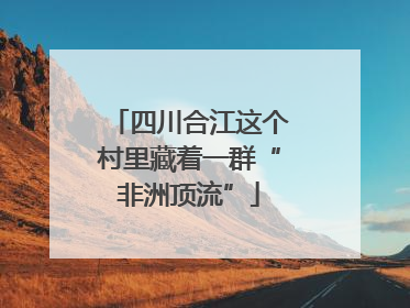 四川合江这个村里藏着一群“非洲顶流”