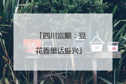 四川富顺：豆花香里话振兴
