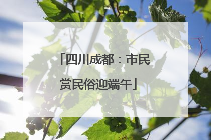 四川成都：市民赏民俗迎端午