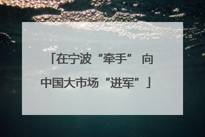 在宁波“牵手” 向中国大市场“进军”