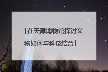 在天津博物馆探讨文物如何与科技结合