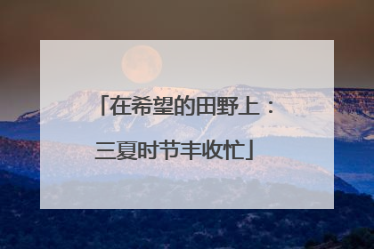在希望的田野上：三夏时节丰收忙