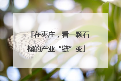 在枣庄，看一颗石榴的产业“链”变