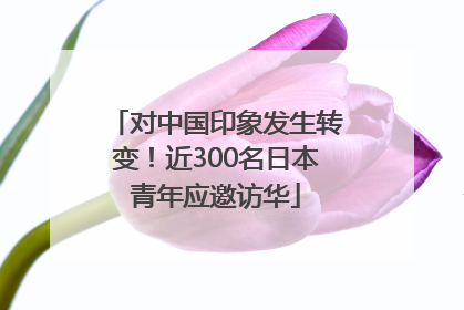 对中国印象发生转变！近300名日本青年应邀访华