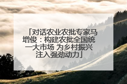 对话农业农批专家马增俊：构建农批全国统一大市场 为乡村振兴注入强劲动力