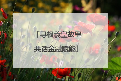 寻根羲皇故里 共话金融赋能