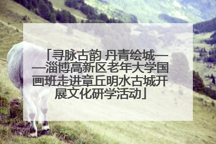 寻脉古韵 丹青绘城——淄博高新区老年大学国画班走进章丘明水古城开展文化研学活动
