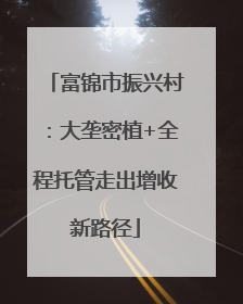 富锦市振兴村：大垄密植+全程托管走出增收新路径