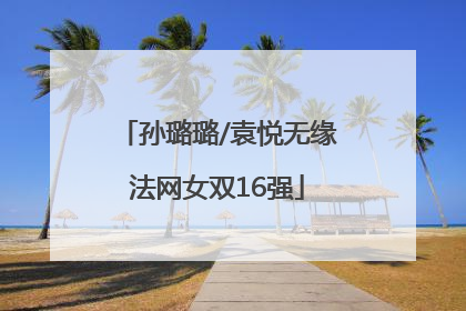 孙璐璐/袁悦无缘法网女双16强