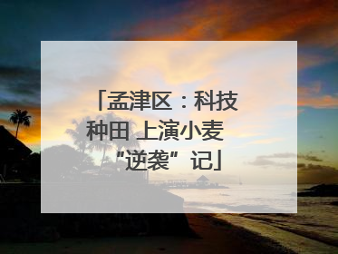 孟津区：科技种田 上演小麦“逆袭”记