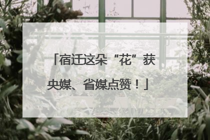 宿迁这朵“花”获央媒、省媒点赞！