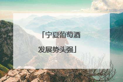 宁夏葡萄酒发展势头强