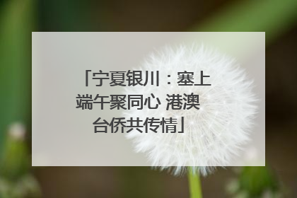 宁夏银川：塞上端午聚同心 港澳台侨共传情