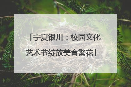 宁夏银川：校园文化艺术节绽放美育繁花