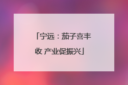 宁远：茄子喜丰收 产业促振兴