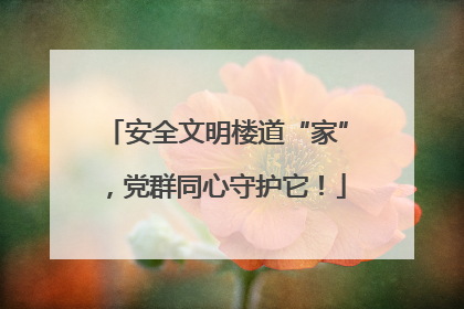 安全文明楼道“家”，党群同心守护它！