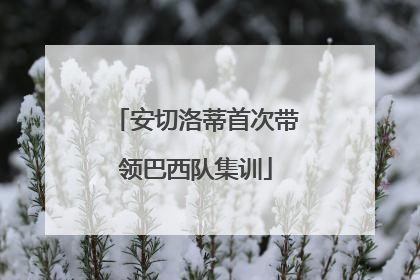 安切洛蒂首次带领巴西队集训