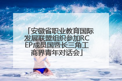 安徽省职业教育国际发展联盟组织参加RCEP成员国暨长三角工商界青年对话会