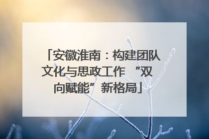 安徽淮南：构建团队文化与思政工作 “双向赋能”新格局