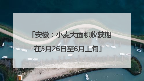 安徽：小麦大面积收获期在5月26日至6月上旬