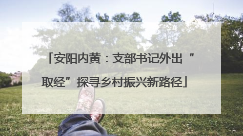 安阳内黄：支部书记外出“取经”探寻乡村振兴新路径