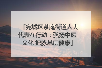宛城区茶庵街道人大代表在行动：弘扬中医文化 把脉基层健康