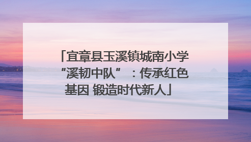 宜章县玉溪镇城南小学“溪韧中队”：传承红色基因 锻造时代新人