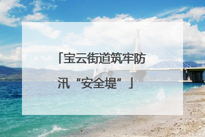 宝云街道筑牢防汛“安全堤”