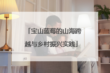 宝山蓝莓的山海跨越与乡村振兴实践