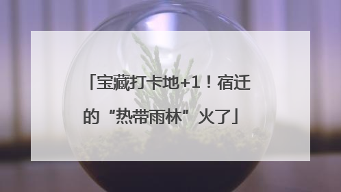 宝藏打卡地+1！宿迁的“热带雨林”火了