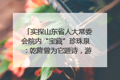 实探山东省人大常委会院内“宝藏”珍珠泉：乾隆曾为它题诗，游客无需预约免费游览