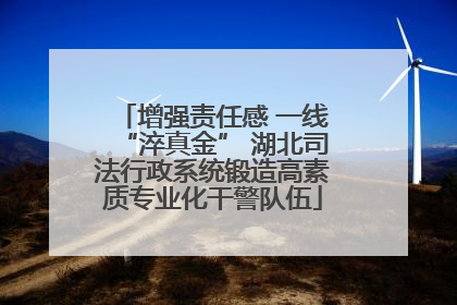 增强责任感 一线“淬真金” 湖北司法行政系统锻造高素质专业化干警队伍
