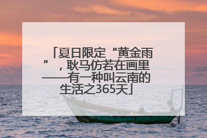 夏日限定“黄金雨”，耿马仿若在画里——有一种叫云南的生活之365天