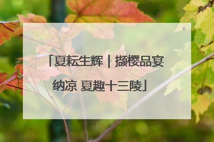 夏耘生辉｜撷樱品宴纳凉 夏趣十三陵
