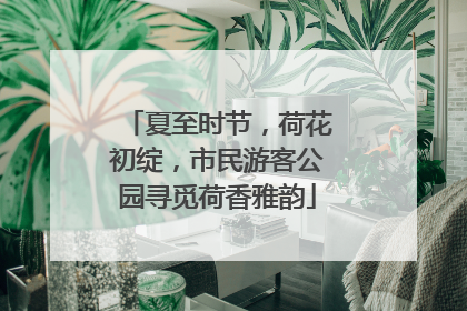 夏至时节，荷花初绽，市民游客公园寻觅荷香雅韵