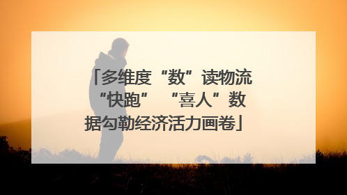 多维度“数”读物流“快跑” “喜人”数据勾勒经济活力画卷