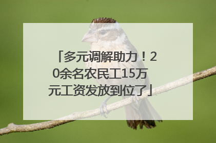 多元调解助力！20余名农民工15万元工资发放到位了