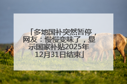 多地国补突然暂停，网友：慢慢变味了，显示国家补贴2025年12月31日结束