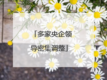 多家央企领导密集调整