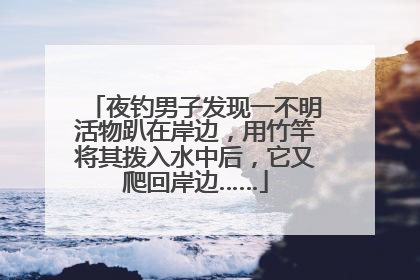 夜钓男子发现一不明活物趴在岸边，用竹竿将其拨入水中后，它又爬回岸边……
