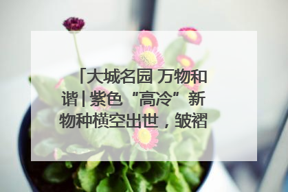大城名园 万物和谐│紫色“高冷”新物种横空出世，皱褶叶片暗藏进化密码