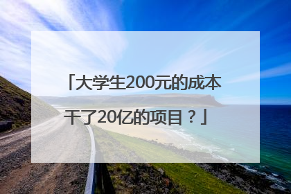 大学生200元的成本干了20亿的项目？