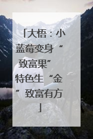 大悟：小蓝莓变身“致富果” 特色生“金”致富有方