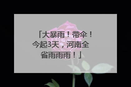 大暴雨！带伞！今起3天，河南全省雨雨雨！