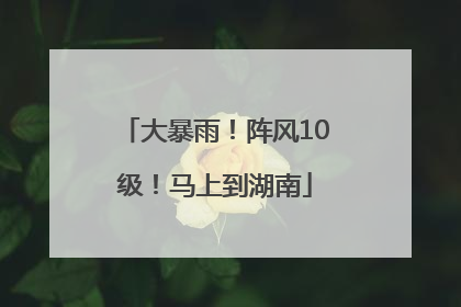大暴雨！阵风10级！马上到湖南