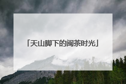 天山脚下的闽茶时光