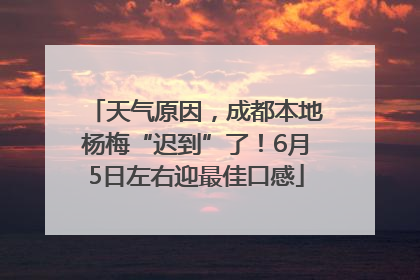 天气原因，成都本地杨梅“迟到”了！6月5日左右迎最佳口感