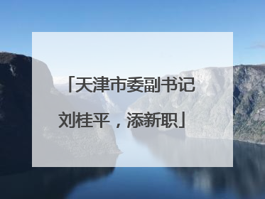 天津市委副书记刘桂平，添新职